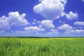 Climate Change & Cooperation Development